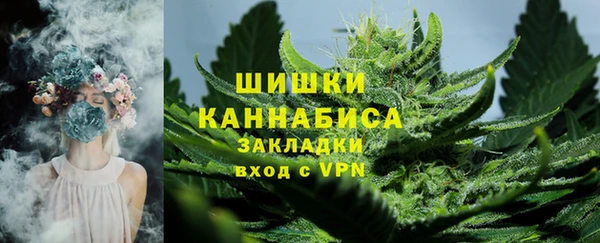 амф Богданович